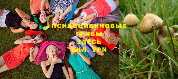 прущие крисы Медвежьегорск