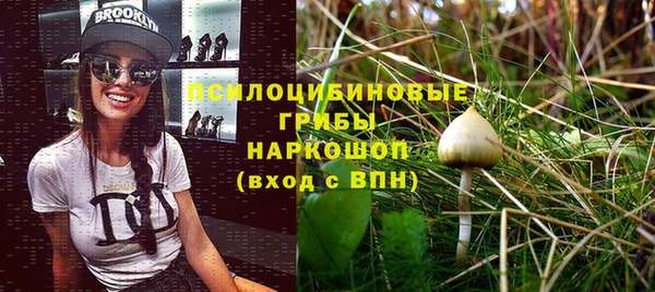 хмурый Баксан